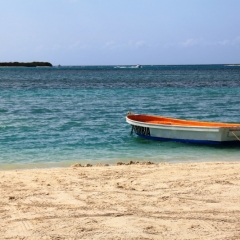 Aruba (47)