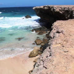 Aruba (49)