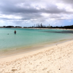 Aruba (50)