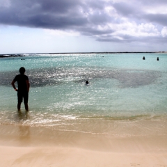 Aruba (51)