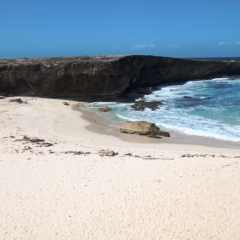 Aruba (60)