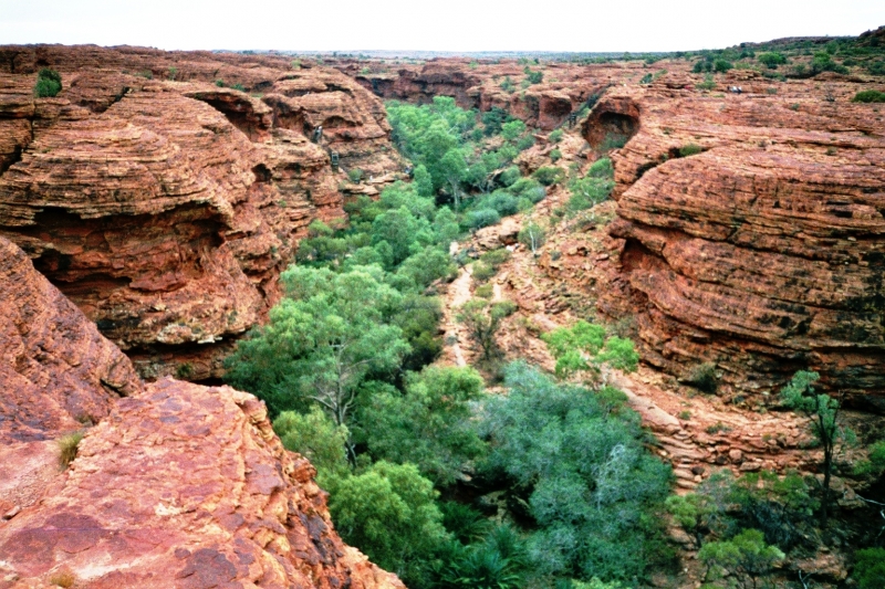 Australie (20)