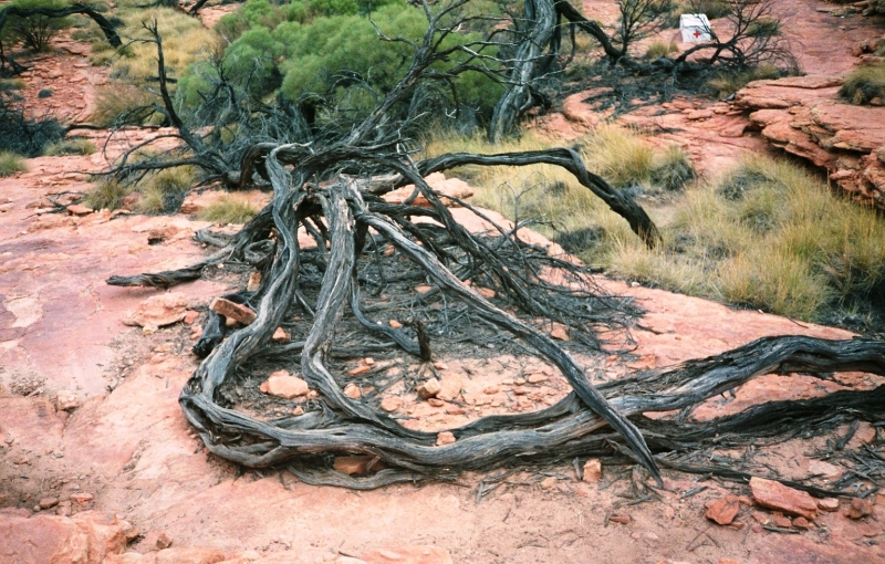 Australie (24)