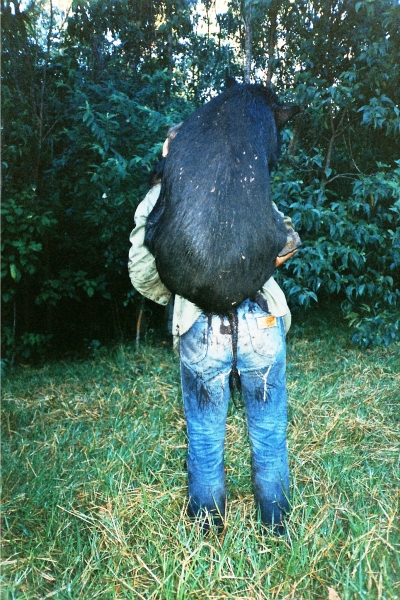 Australie (50)