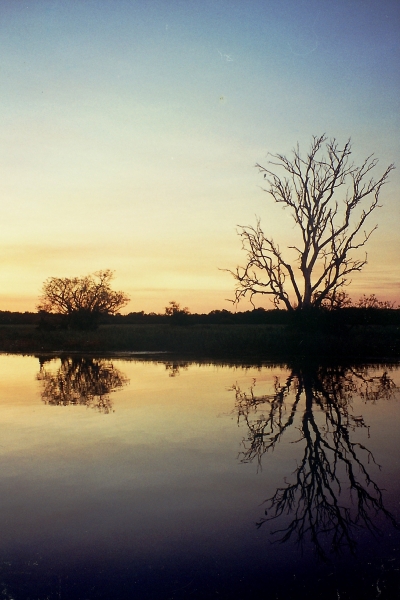 Australie (6)
