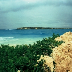 Australie (10)