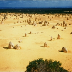 Australie (14)