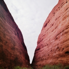 Australie (15)