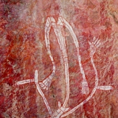 Australie (31)