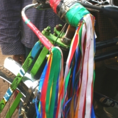 Bangladesh (23)