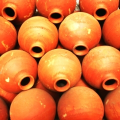 Bangladesh (31)