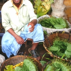 Bangladesh (38)