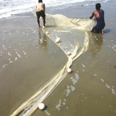 Bangladesh (8)