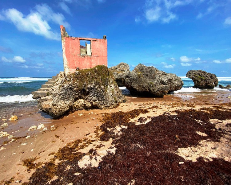 Barbados-13