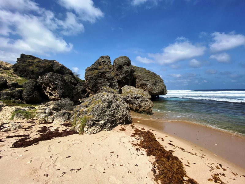 Barbados-17