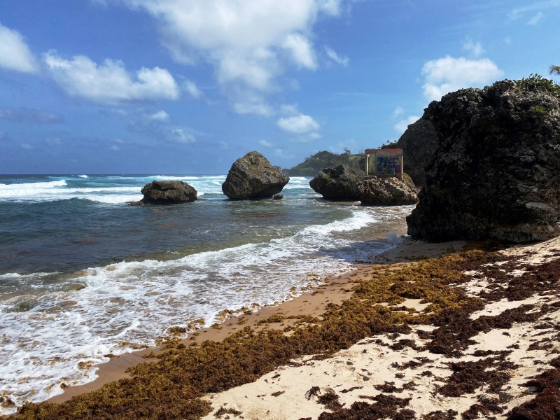 Barbados-18