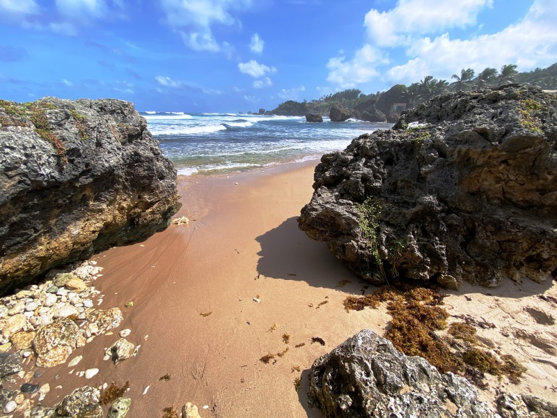 Barbados-19
