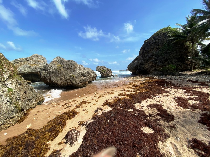 Barbados-23