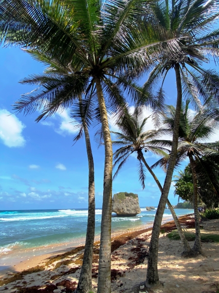 Barbados-28