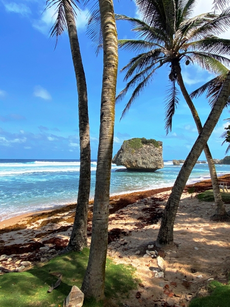 Barbados-35