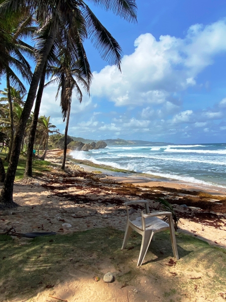 Barbados-36
