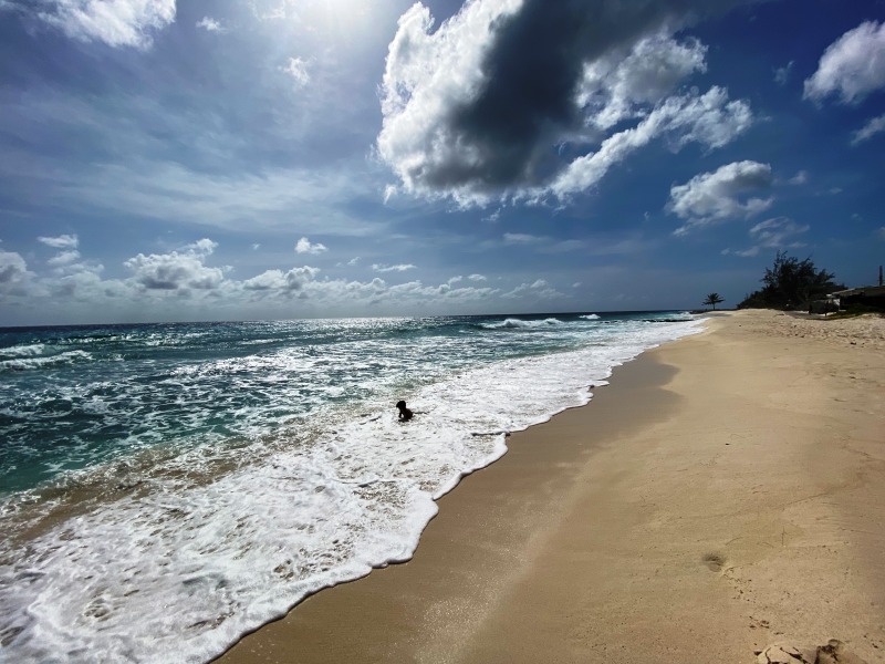 Barbados-38