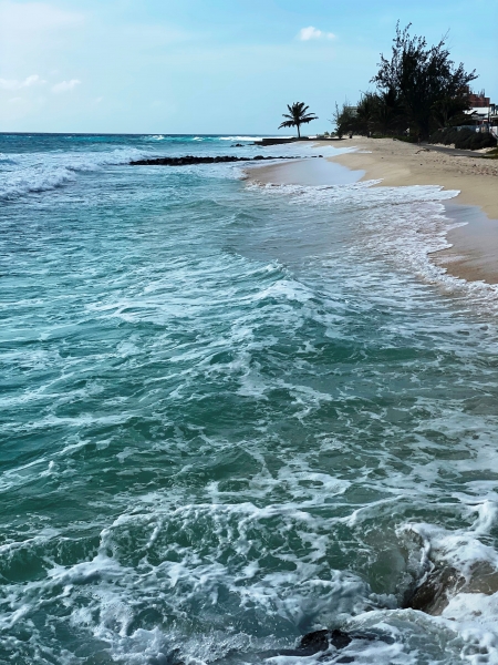 Barbados-44