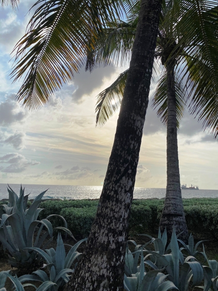 Barbados-51