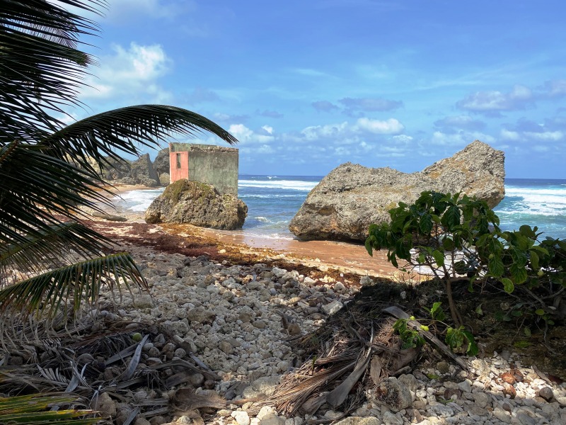 Barbados-9
