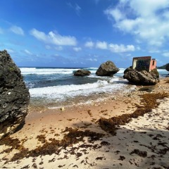 Barbados-11