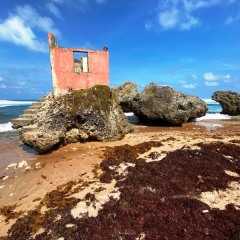 Barbados-13