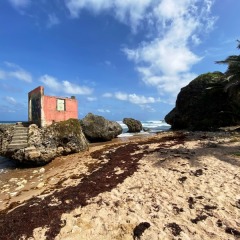 Barbados-14
