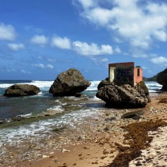 Barbados-16
