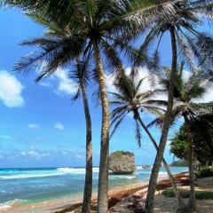 Barbados-28
