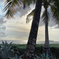 Barbados-51