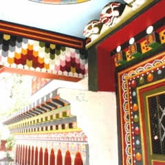 Bhutan (8)