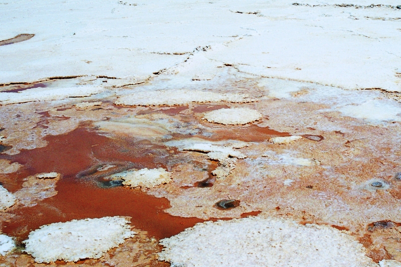 Bolivia (27)