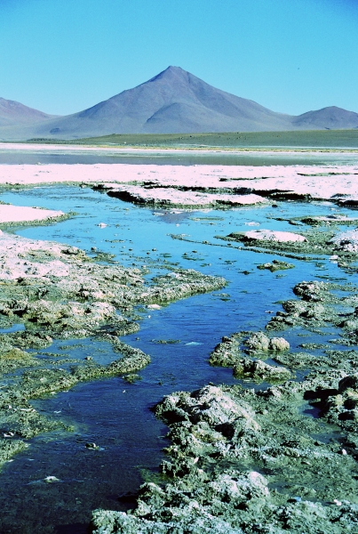 Bolivia (36)