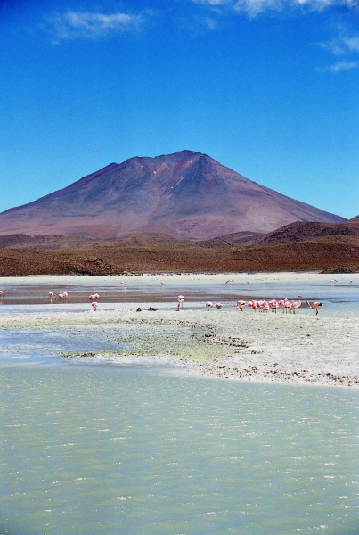Bolivia (73)