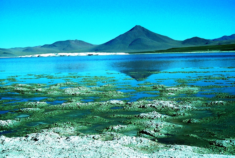 Bolivia (81)