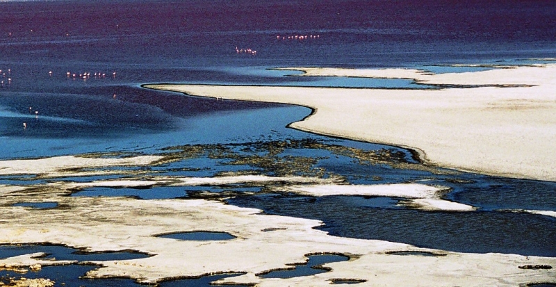 Bolivia (82)