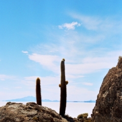 Bolivia (14)