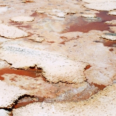 Bolivia (23)