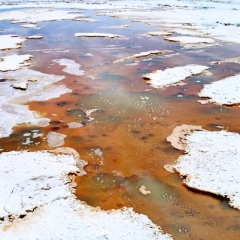 Bolivia (32)