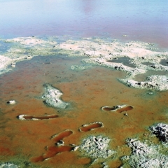 Bolivia (37)