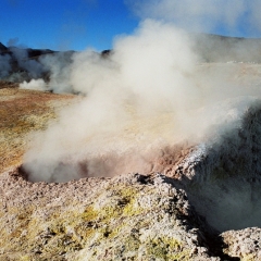 Bolivia (49)