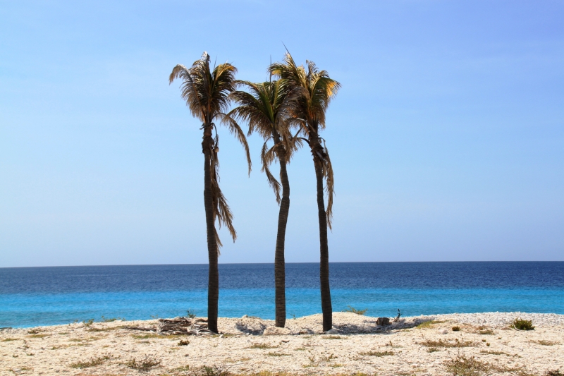 Bonaire (20)