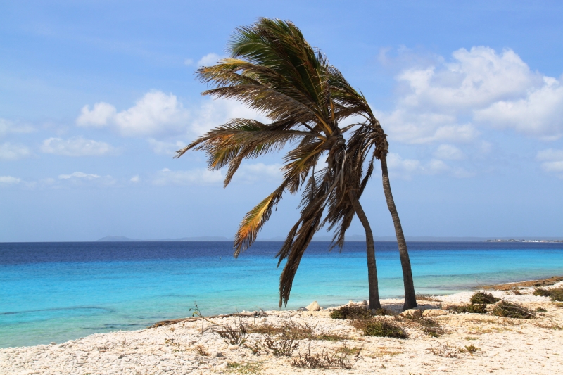 Bonaire (21)