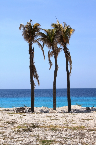 Bonaire (23)