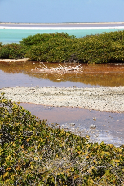 Bonaire (33)